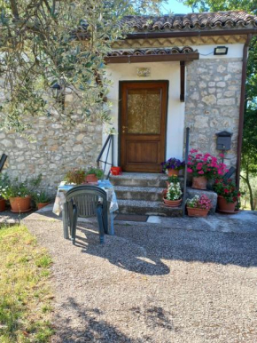 Hotels in Vacone